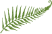 Blessings Salon & Spa - fern leaf - logo element